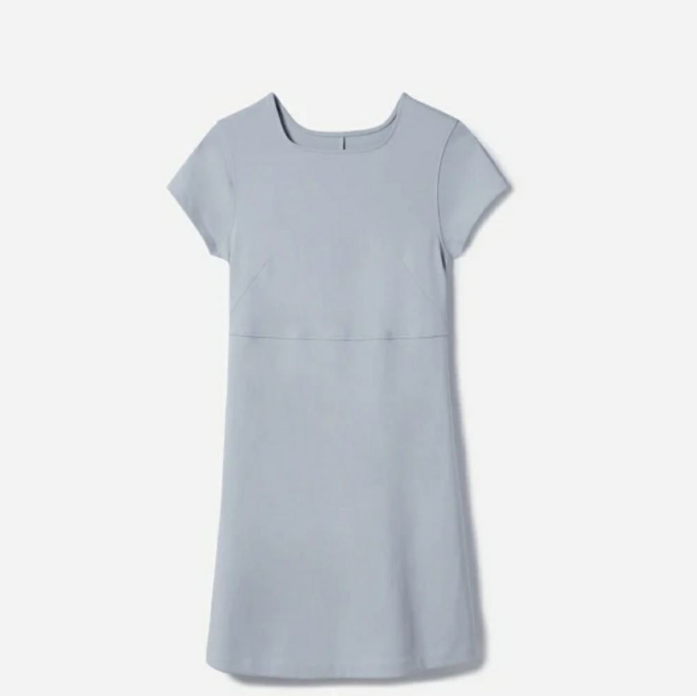 Everlane Sky Blue Party of One Tee Dress
